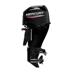 Mercury 50hp EFI Outboard